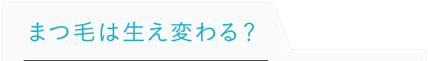 まつ毛は生え変わる？