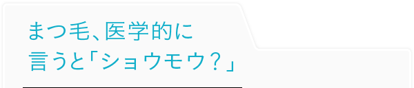 まつ毛、医学的に言うと「ショウモウ？」